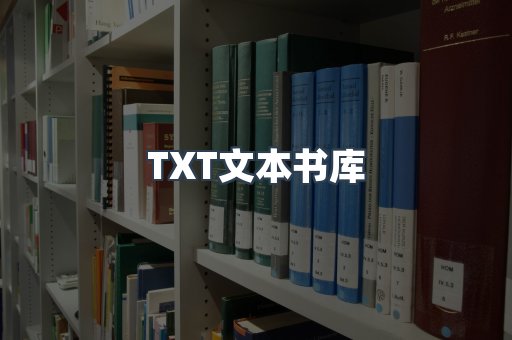 TXT文本书库